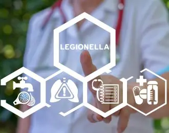 Legionella test medical concept. Legionella pneumophila bacteria in human lungs diagnosis – causative agent of legionnaire’s disease.