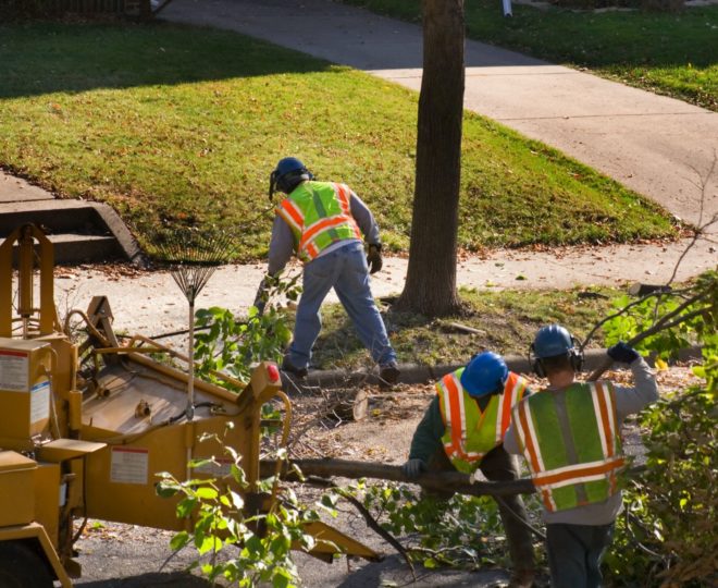 Training-Safety_TreeCrewChippingTree_iStock-172624371_web