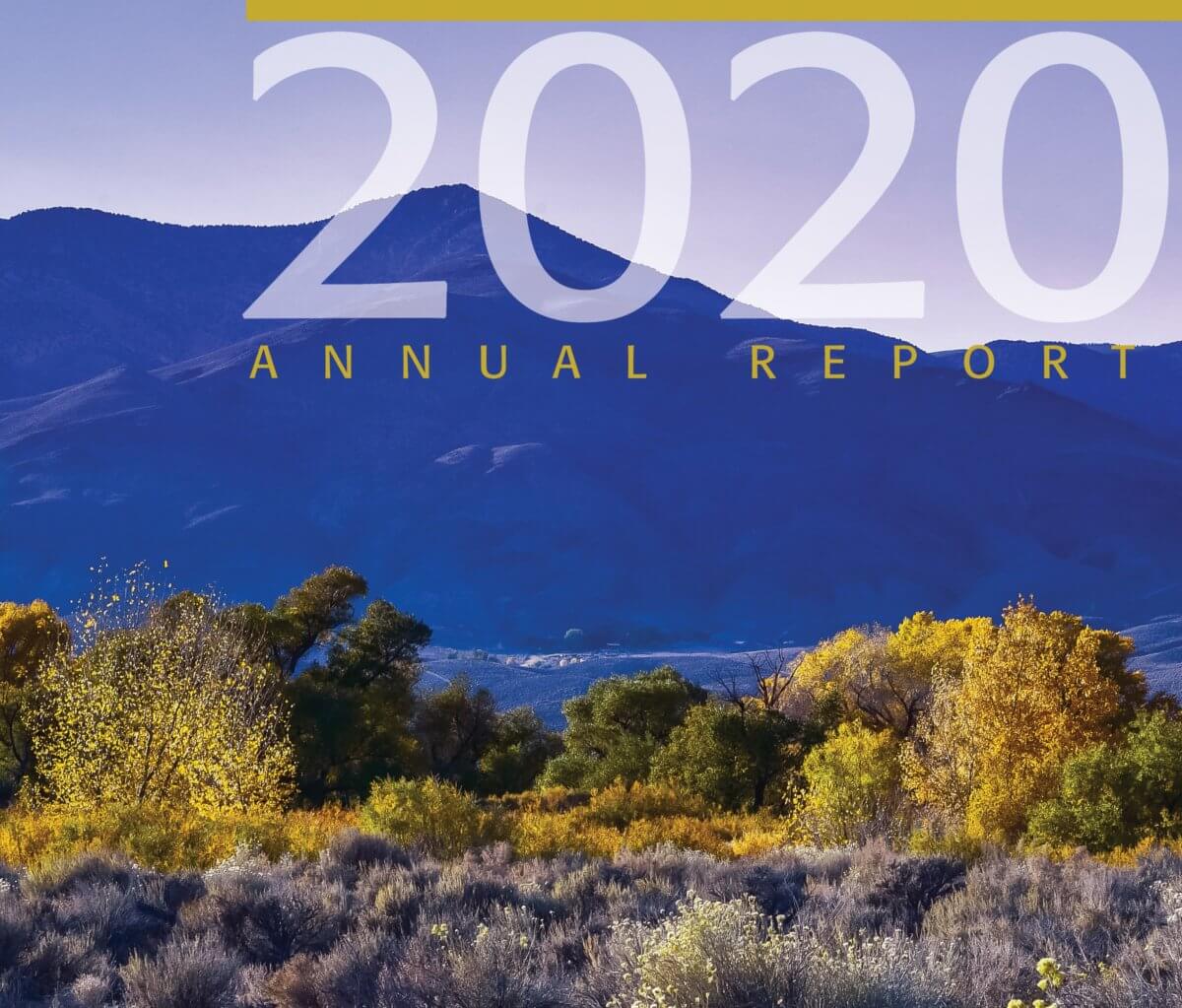 2020 CIRSA Annual Report