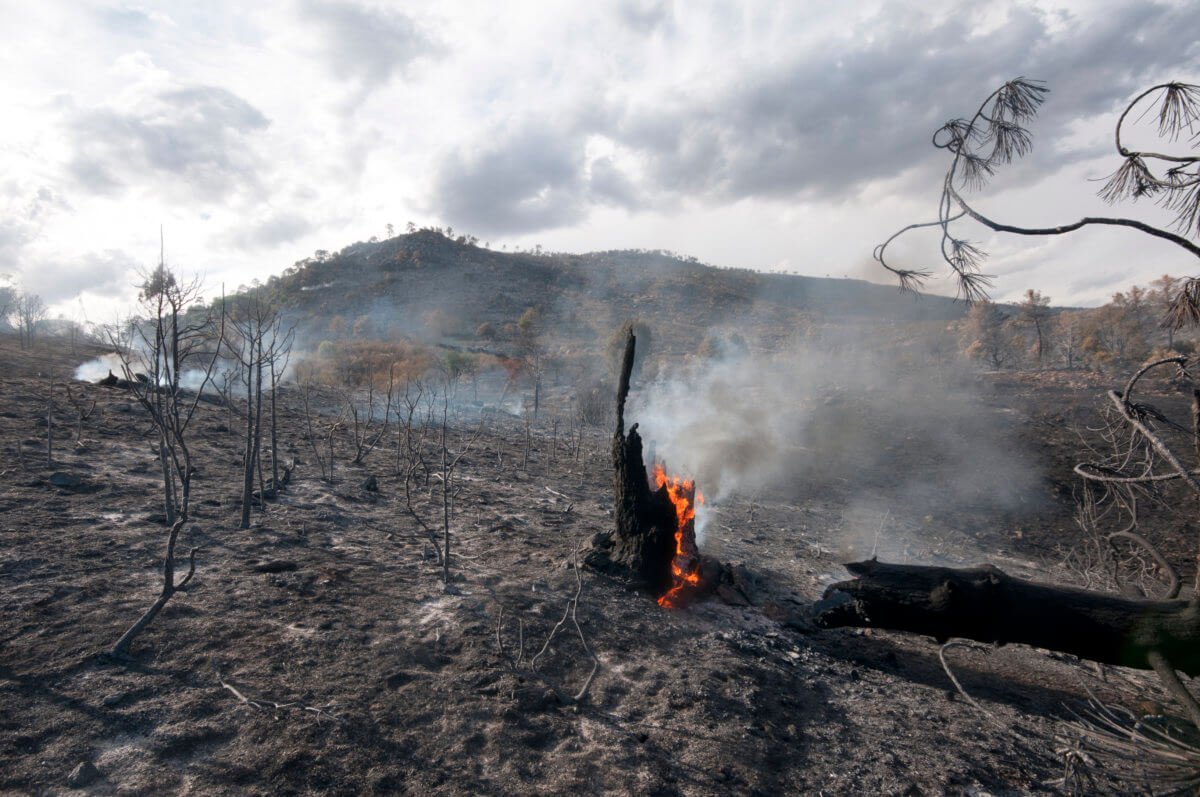 Post-Fire Hydrologic Hazards & Mitigation Strategies Webinar