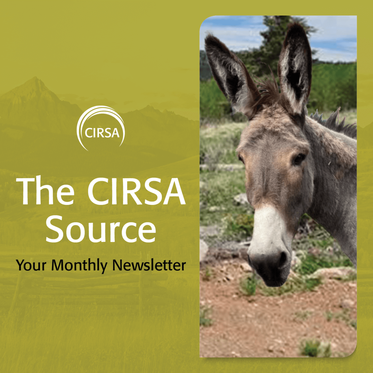 The CIRSA Source – September 2022