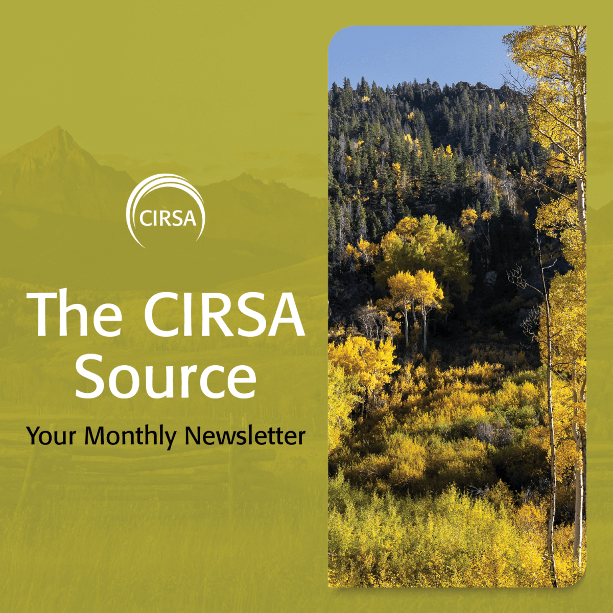 The CIRSA Source – November 2022