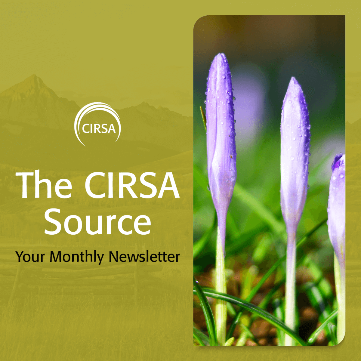 The CIRSA Source – May 2023