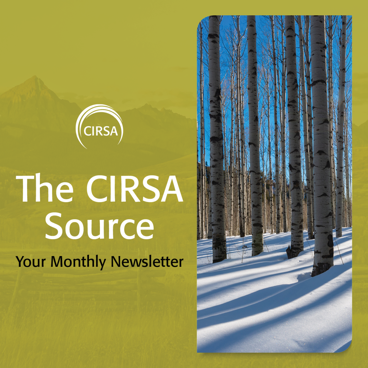 The CIRSA Source – December 2023