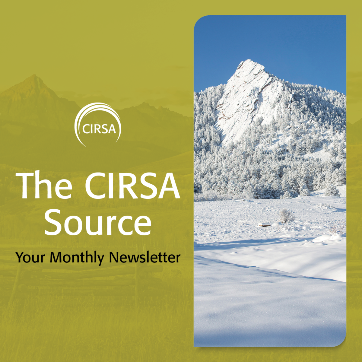 The CIRSA Source – January 2024