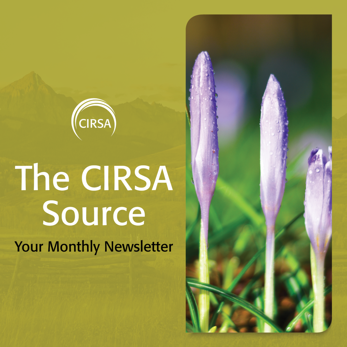 The CIRSA Source – April 2025
